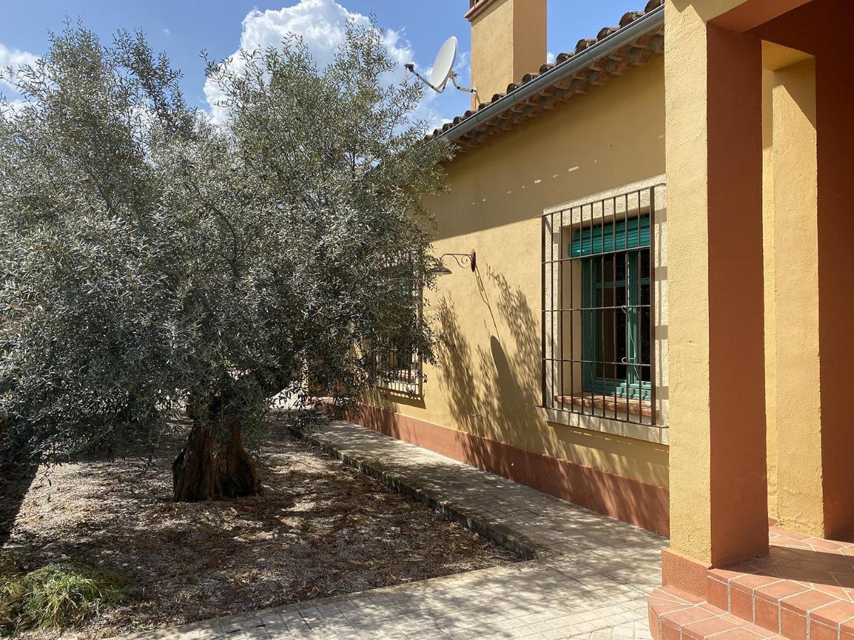 El Bauzal De